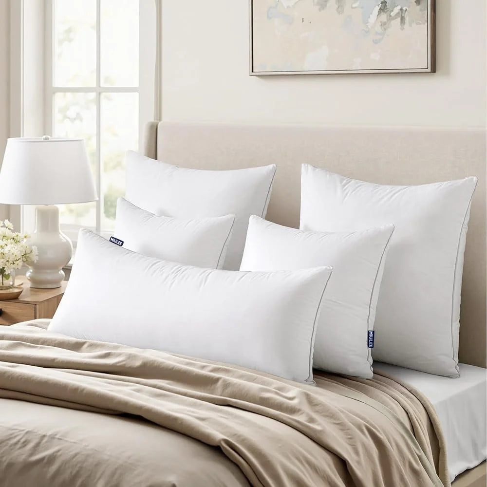 Two Pack Pillow Inserts Polyester Filling For Sofa Cushions