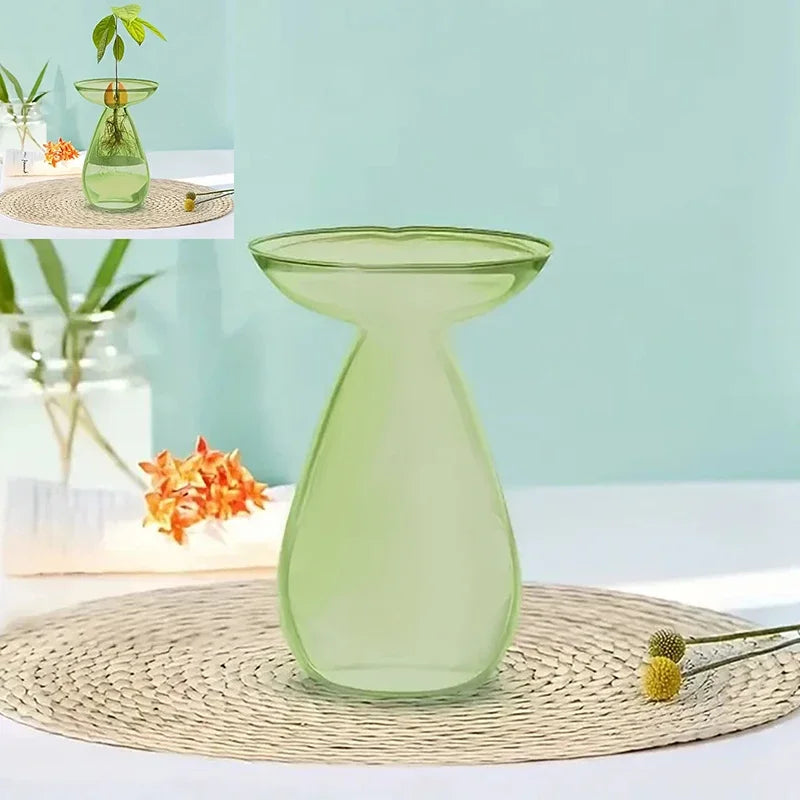 Glass Avocado Hydroponic Vase Seed Starter Kit For Plants