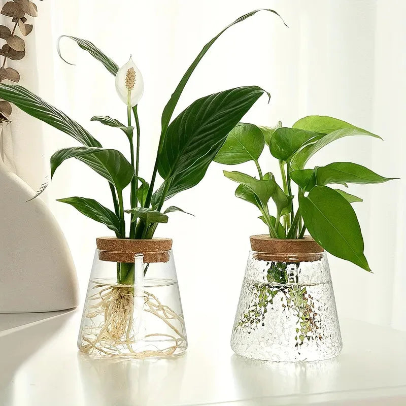 High Concerned Propagation Station With Glass Vases Hydroponic Tabletop Rack