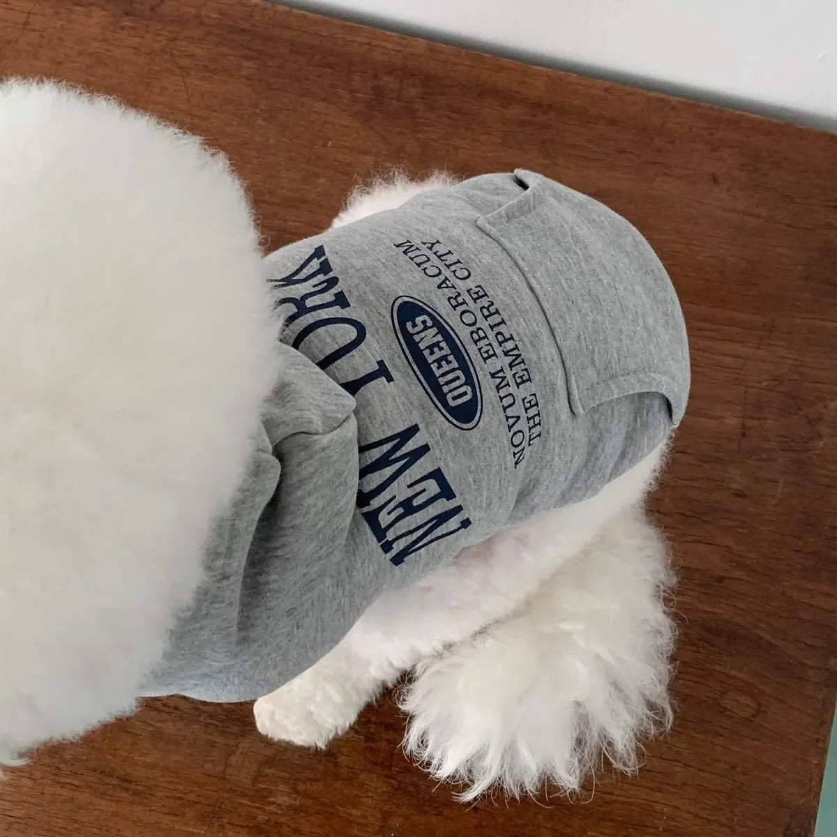 GuTing VanCN Autumn Winter Dog Hoodie Teddy Print Fleece