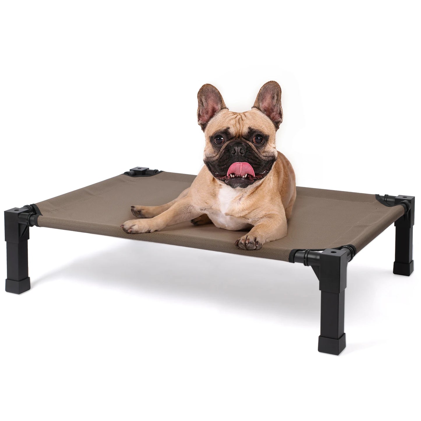 Jiangsu Elevated Dog Bed Cooling Raised Pet Cot Mesh