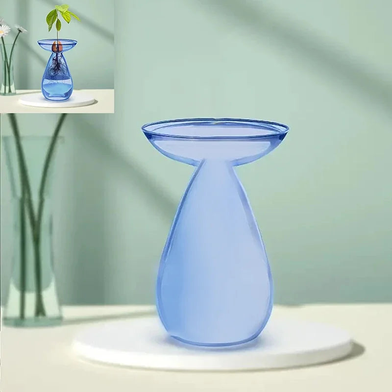 Glass Avocado Hydroponic Vase Seed Starter Kit For Plants