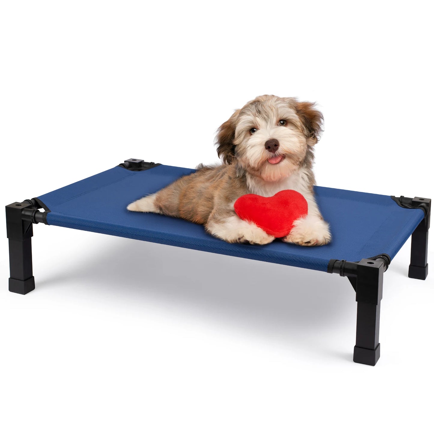 Jiangsu Elevated Dog Bed Cooling Raised Pet Cot Mesh