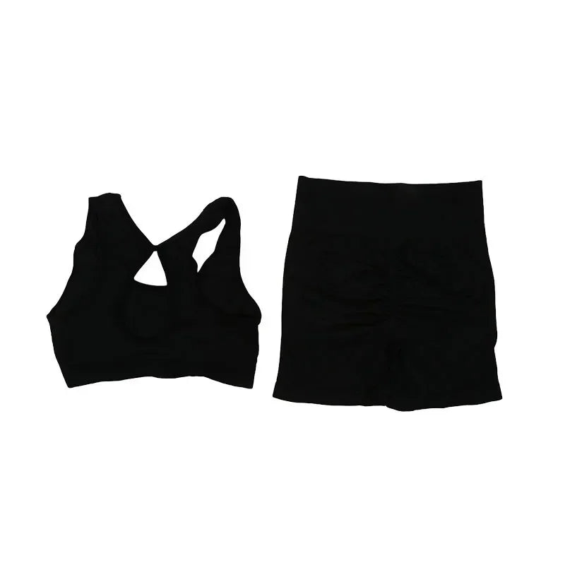 2Pcs Yoga Set For Women Fitness Shorts And Vest Workout