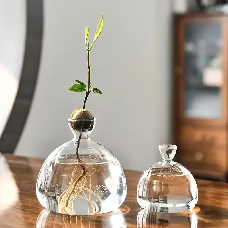 High-Concerned Avocado Vase Glass Bulb Planter For Indoor Hydroponics