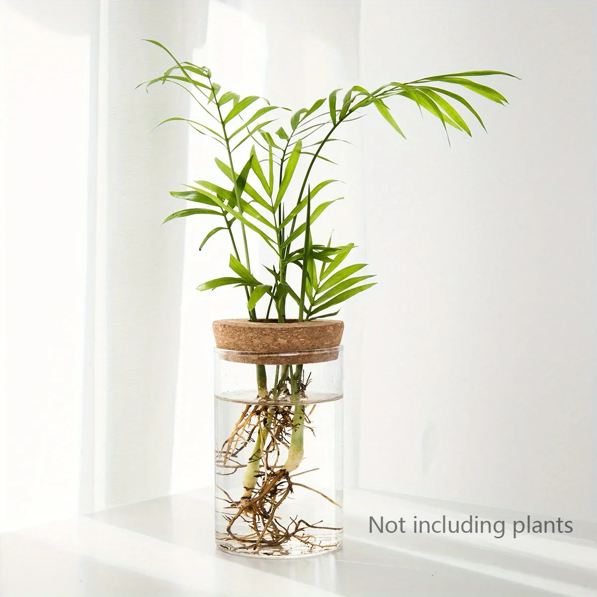 Hydroponics Desktop Glass Planter Vase For Home Decoration