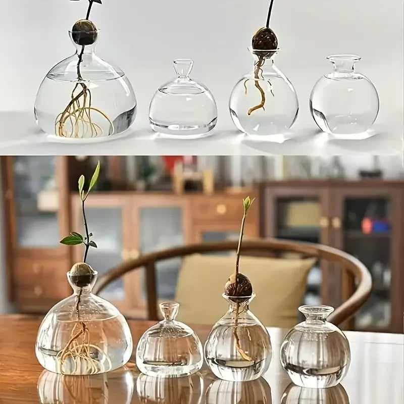 High-Concerned Avocado Vase Glass Bulb Planter For Indoor Hydroponics