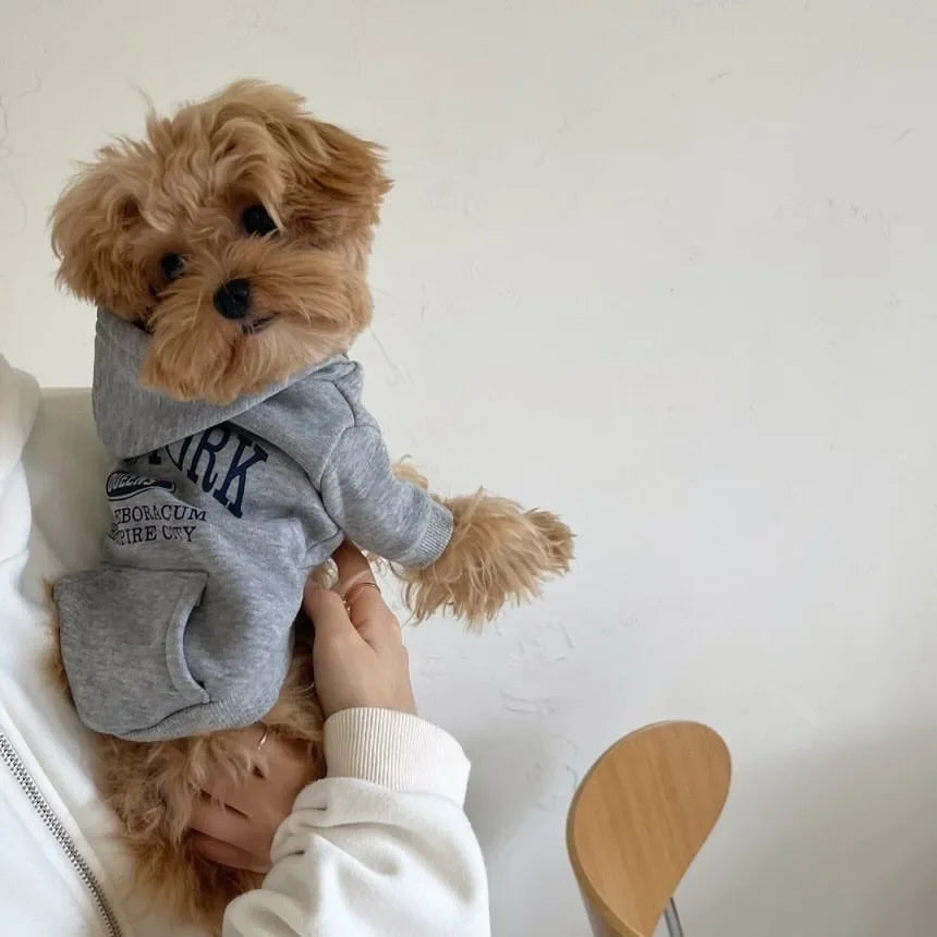 GuTing VanCN Autumn Winter Dog Hoodie Teddy Print Fleece
