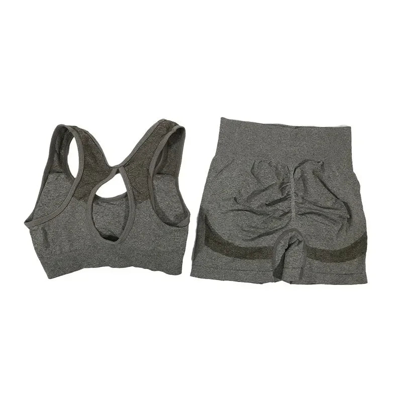 2Pcs Yoga Set For Women Fitness Shorts And Vest Workout