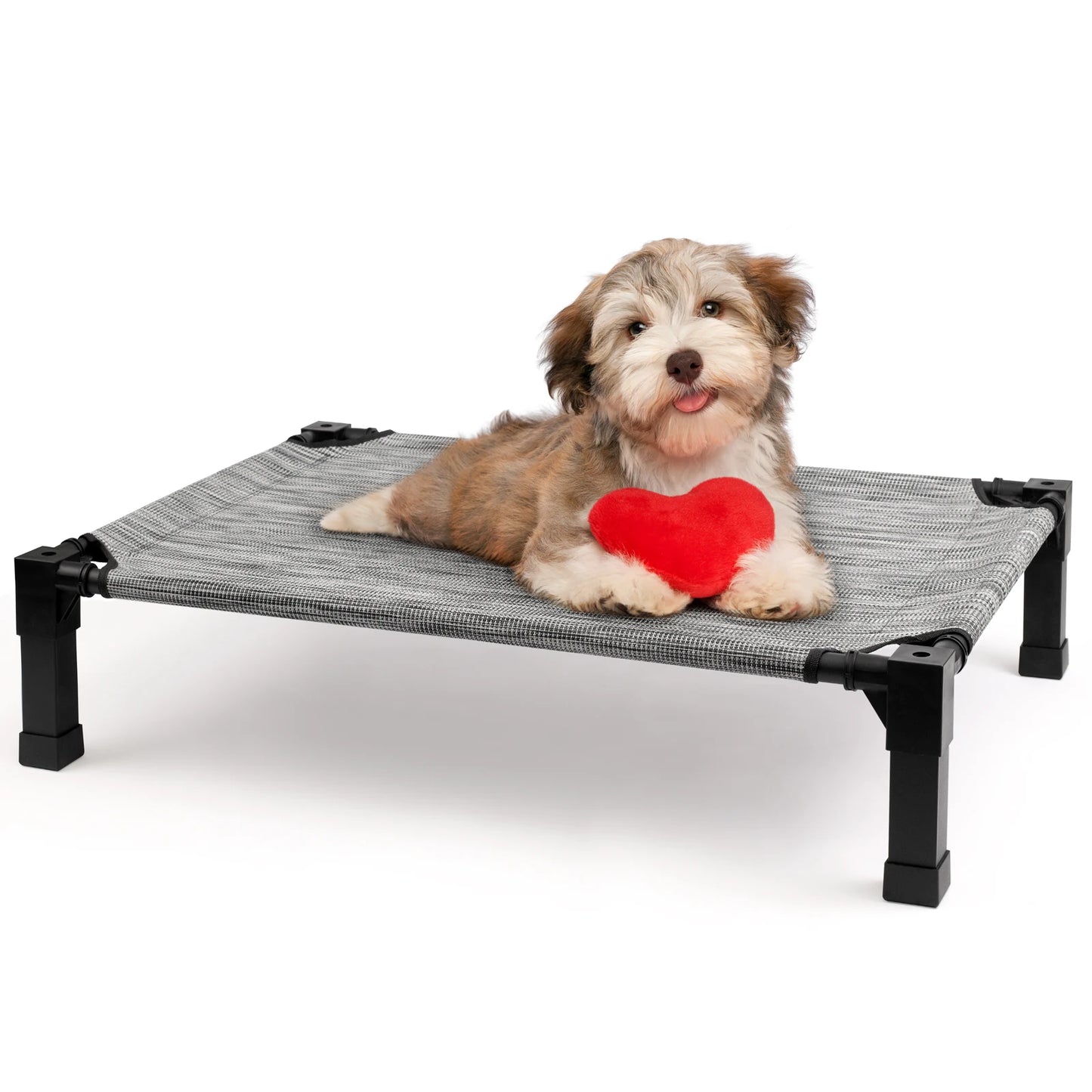 Jiangsu Elevated Dog Bed Cooling Raised Pet Cot Mesh