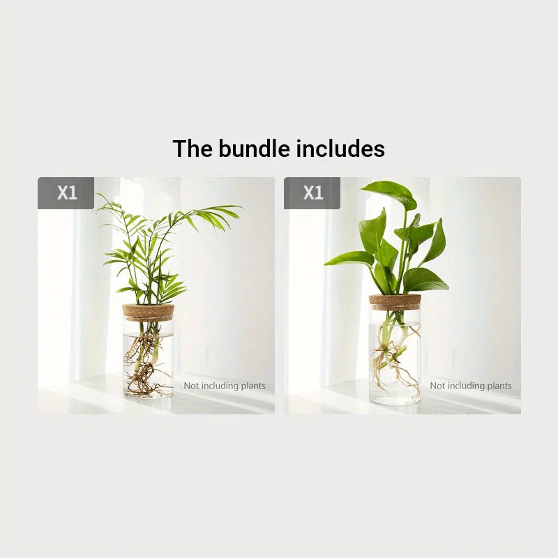 Hydroponics Desktop Glass Planter Vase For Home Decoration