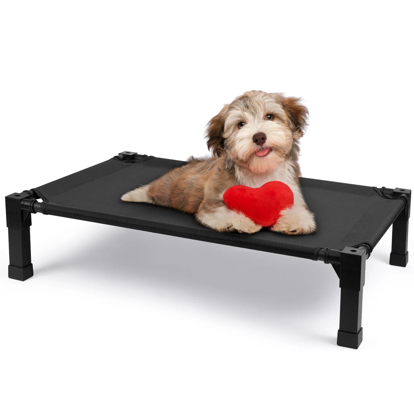 Jiangsu Elevated Dog Bed Cooling Raised Pet Cot Mesh