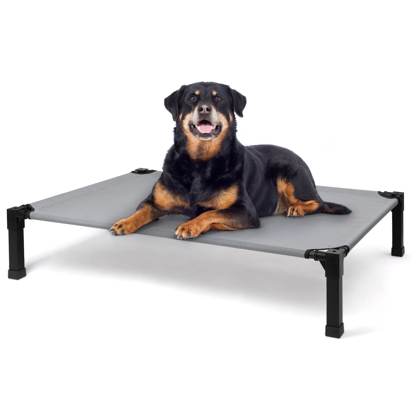 Jiangsu Elevated Dog Bed Cooling Raised Pet Cot Mesh