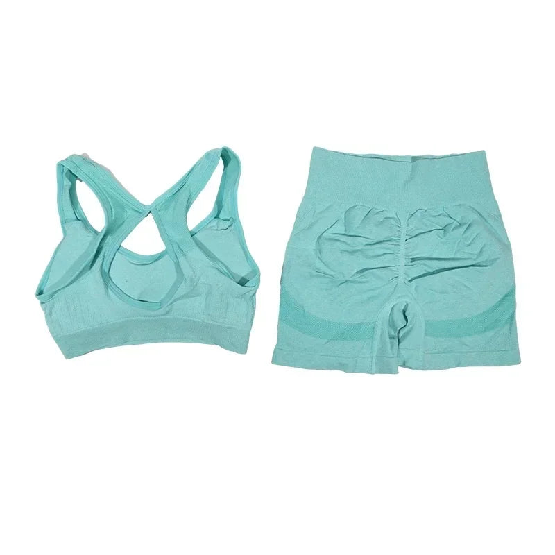 2Pcs Yoga Set For Women Fitness Shorts And Vest Workout