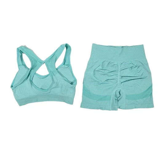 2Pcs Yoga Set For Women Fitness Shorts And Vest Workout