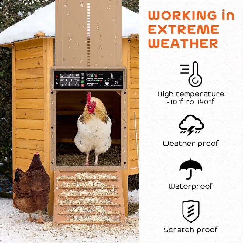 Hignconcerned Door With Timer And Light Sensor Auto Chicken