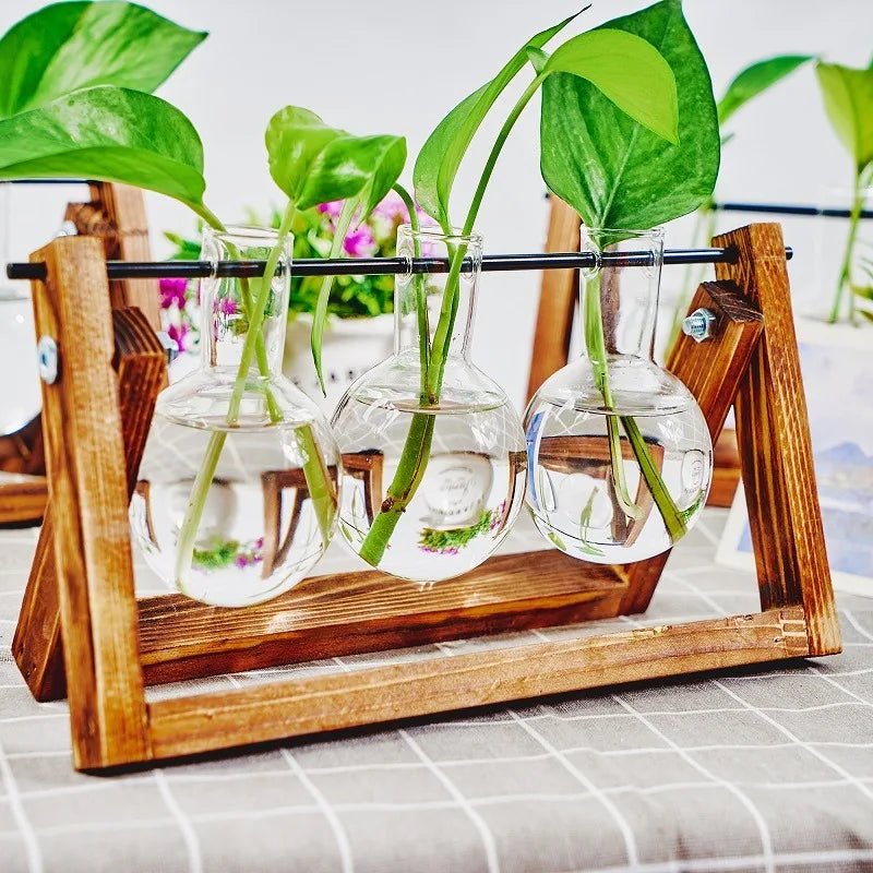 Function Tabletop Glass Propagation Station Planter Hydroponic With Wood Rack