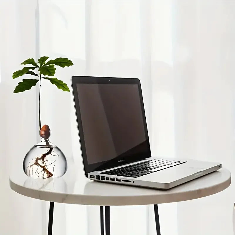 High-Concerned Avocado Vase Glass Bulb Planter For Indoor Hydroponics