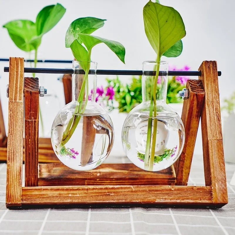 Function Tabletop Glass Propagation Station Planter Hydroponic With Wood Rack