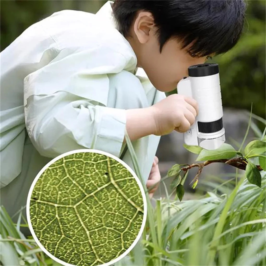 Children Handheld Microscope With LED Light Educational Kit
