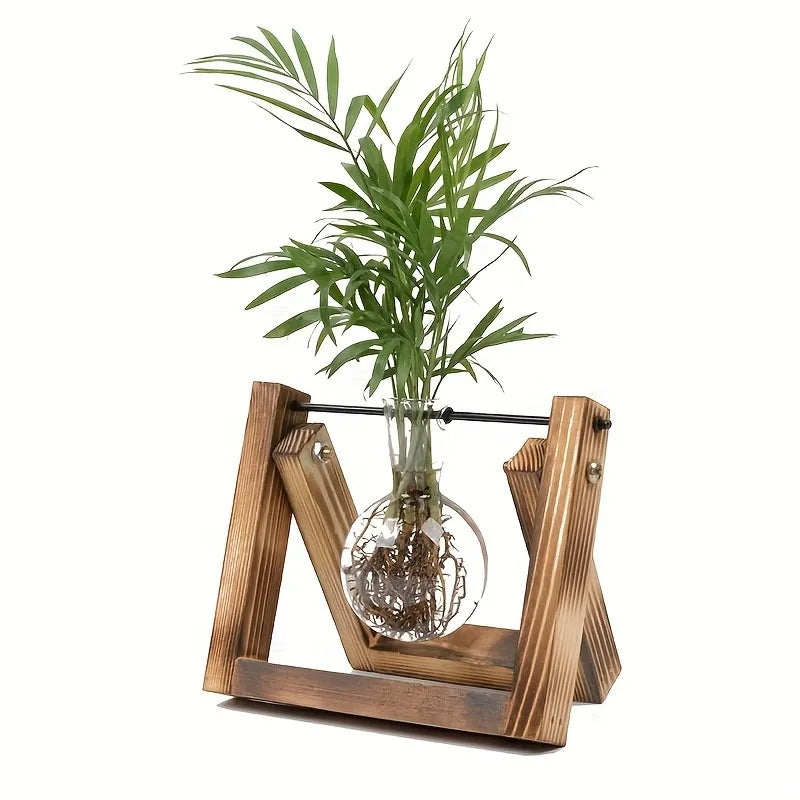 Function Tabletop Glass Propagation Station Planter Hydroponic With Wood Rack