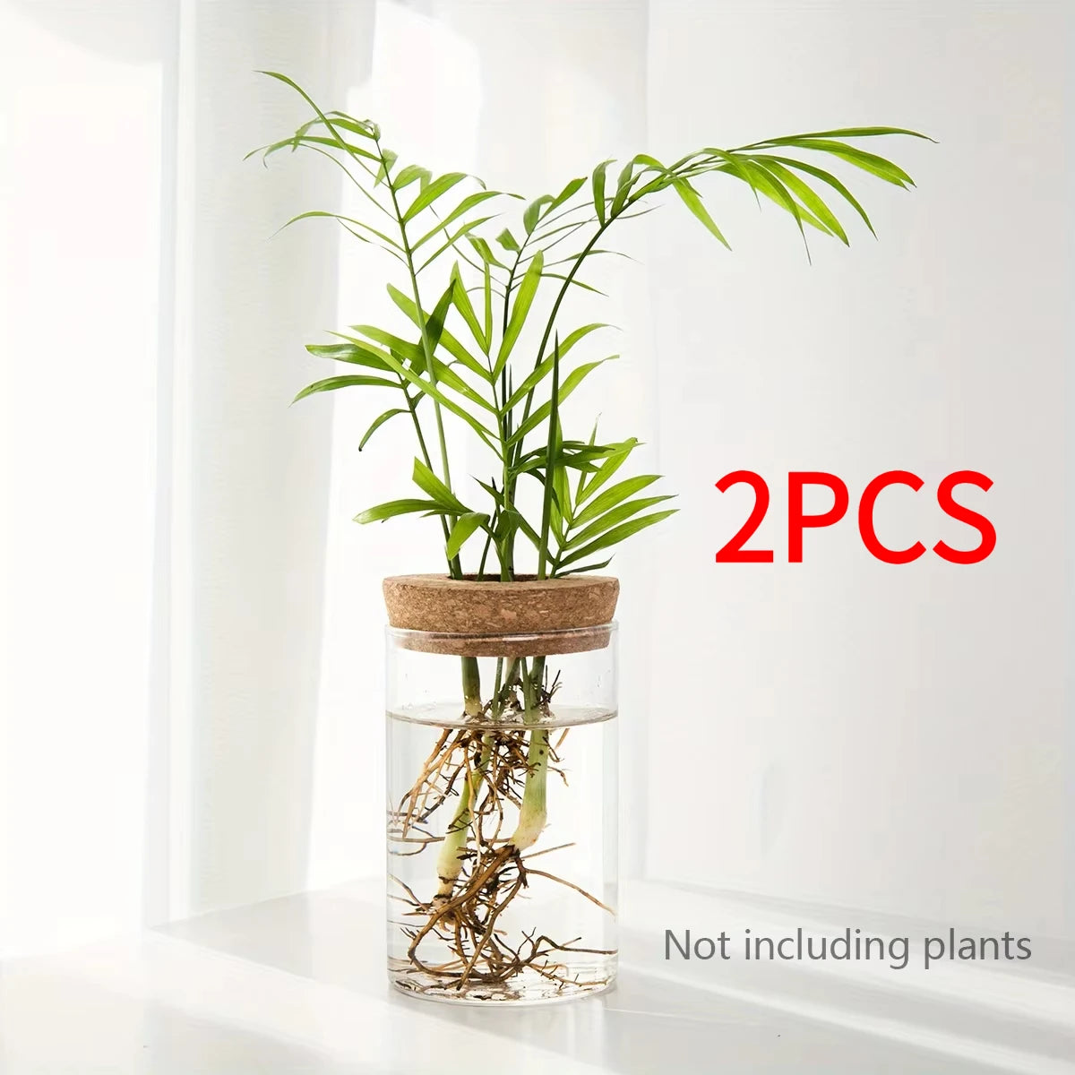 Hydroponics Desktop Glass Planter Vase For Home Decoration