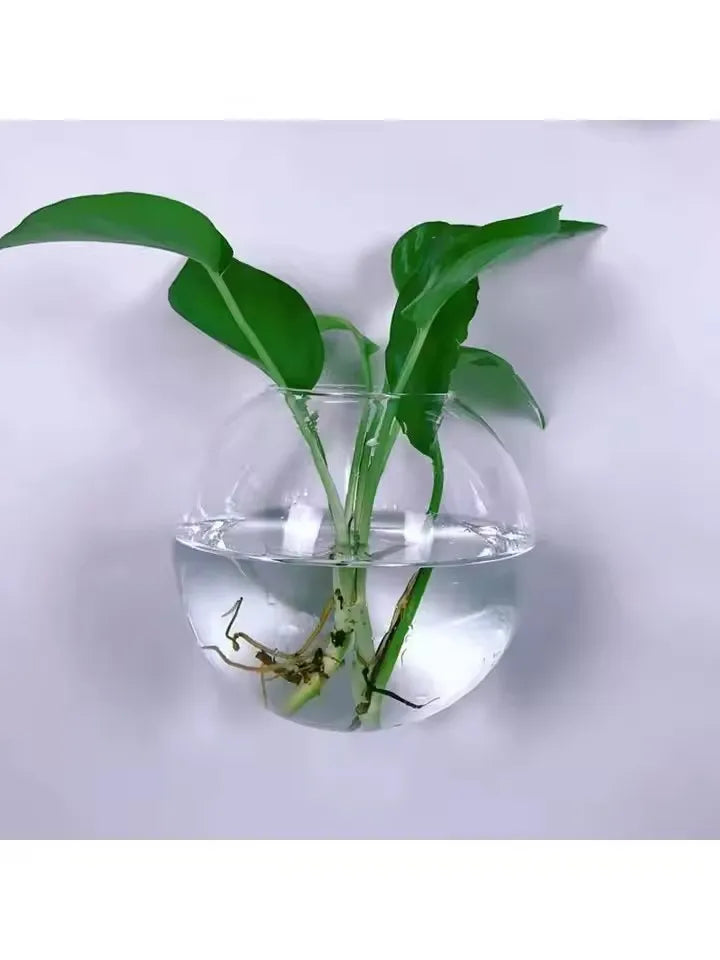 High Concerned Flat Vase Wall Mounted Creative Glass Vase