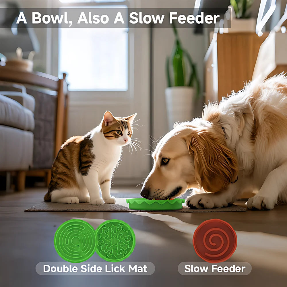 Hign-concerned 5 In 1 Burger Pet Bowls Set Tilted Elevated