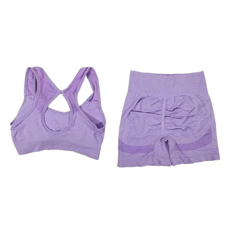2Pcs Yoga Set For Women Fitness Shorts And Vest Workout