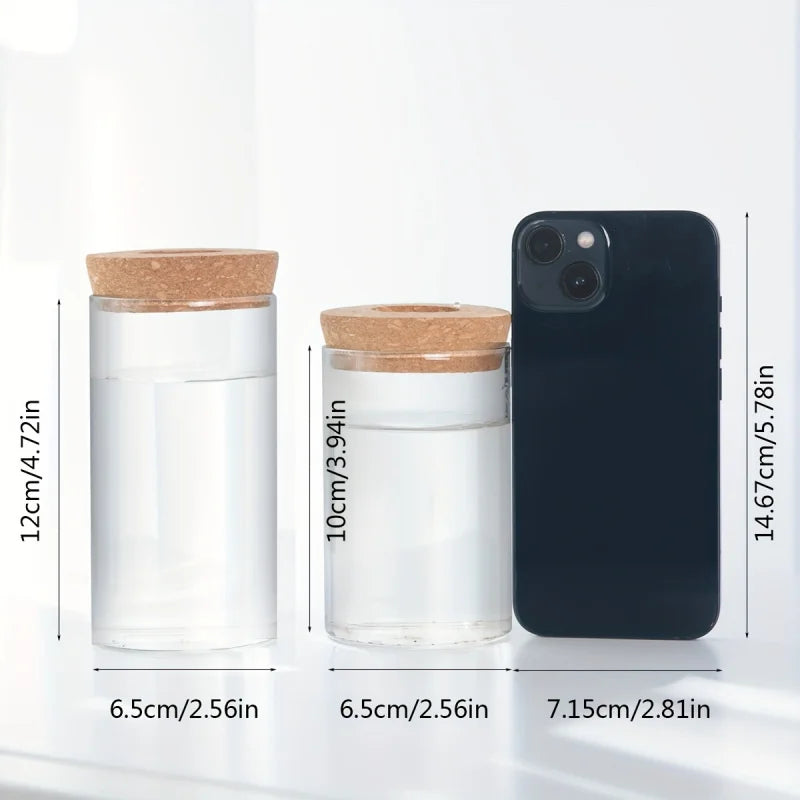 Hydroponics Desktop Glass Planter Vase For Home Decoration