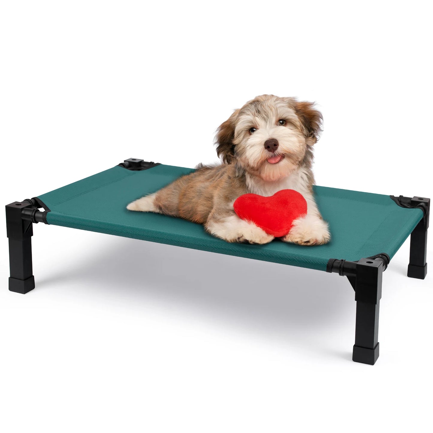 Jiangsu Elevated Dog Bed Cooling Raised Pet Cot Mesh