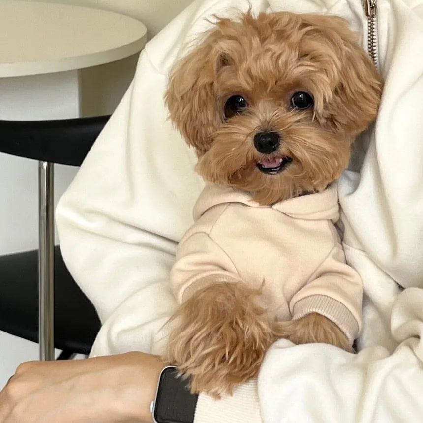 GuTing VanCN Autumn Winter Dog Hoodie Teddy Print Fleece