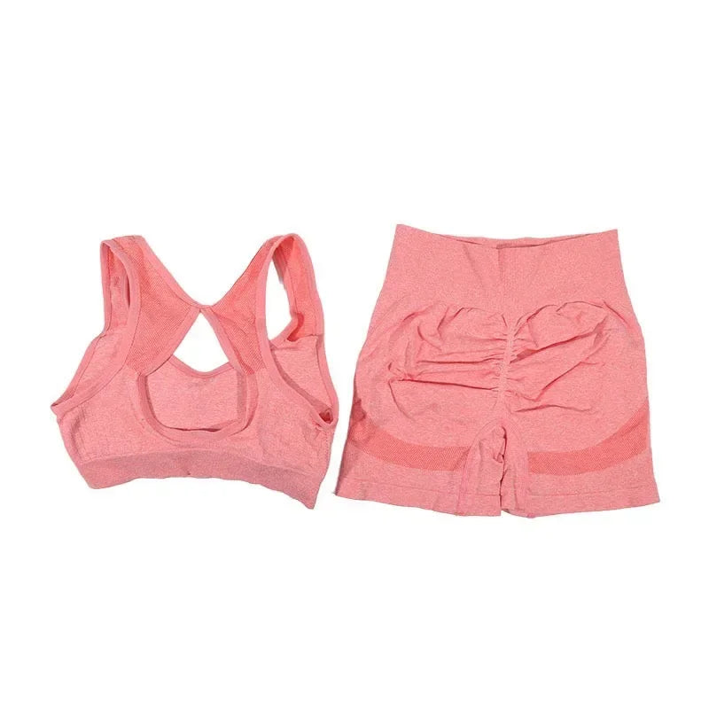 2Pcs Yoga Set For Women Fitness Shorts And Vest Workout