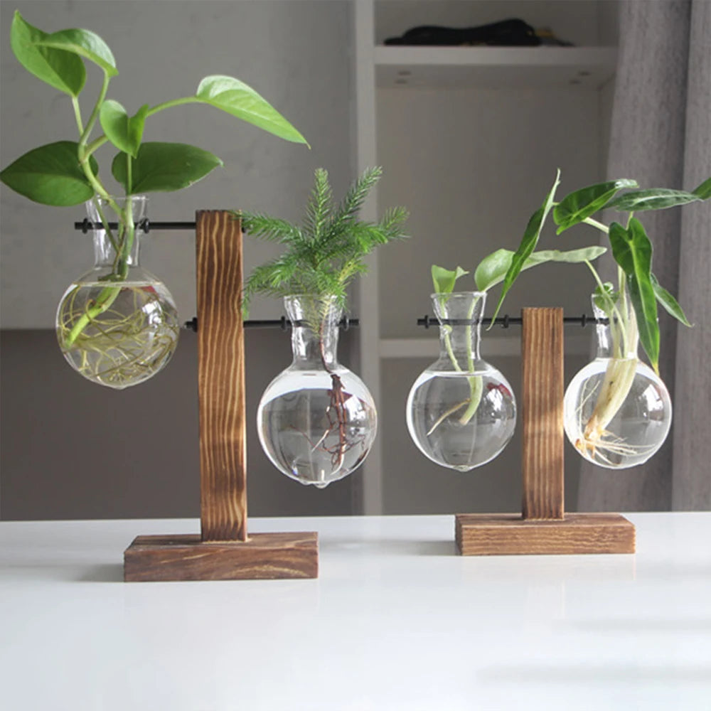 Function Terrarium Glass And Wood Desktop Planter Vase