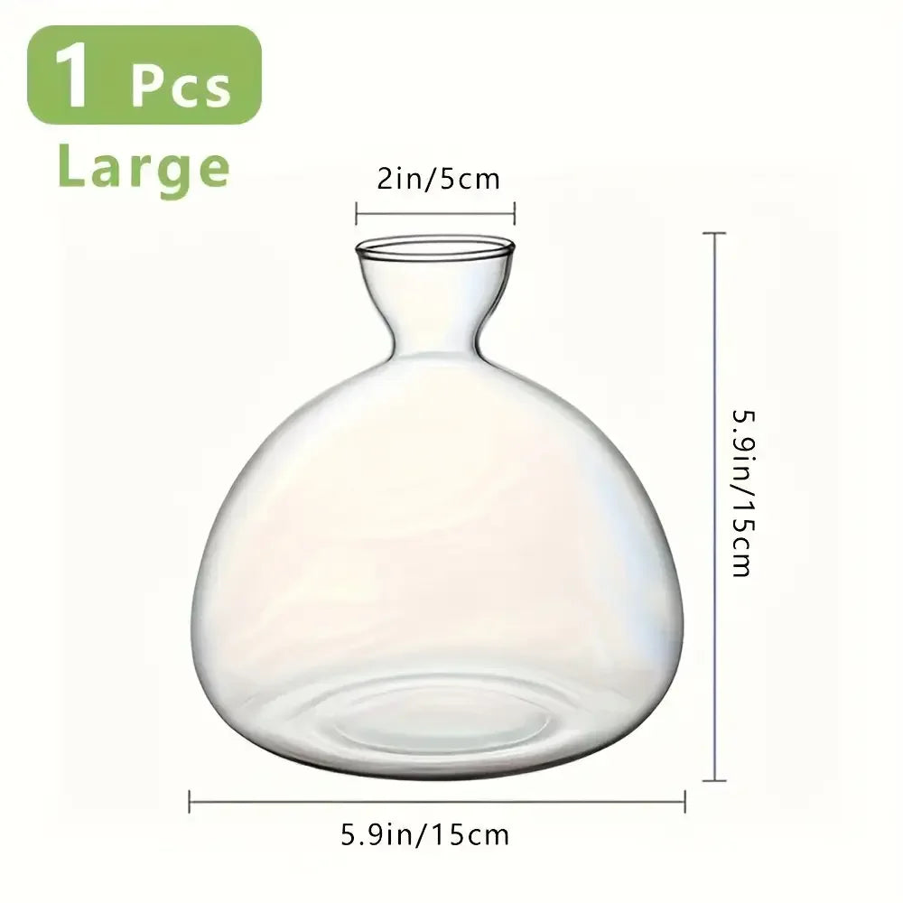 High-Concerned Avocado Vase Glass Bulb Planter For Indoor Hydroponics