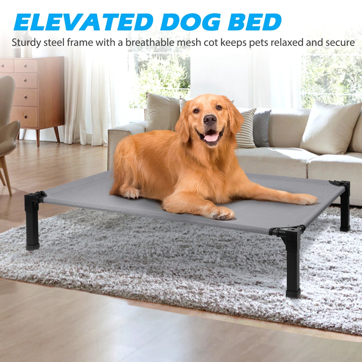 Jiangsu Elevated Dog Bed Cooling Raised Pet Cot Mesh