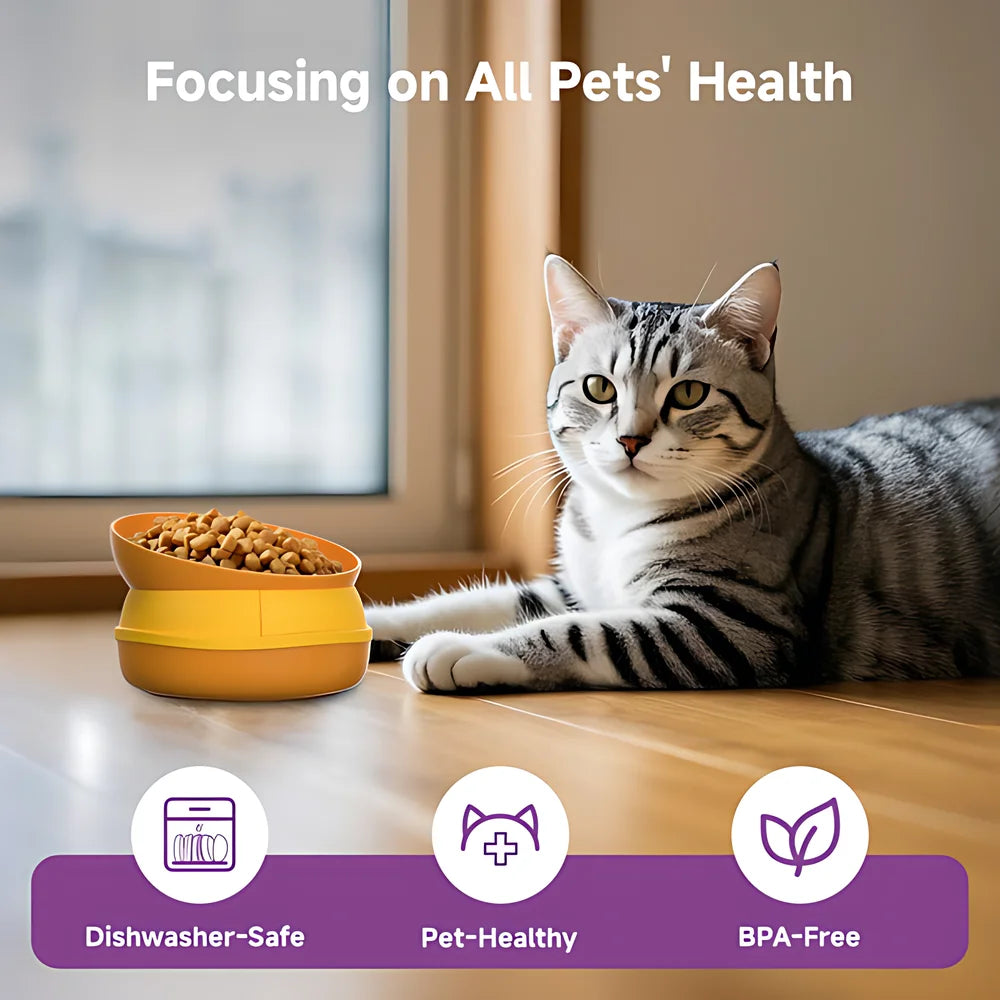 Hign-concerned 5 In 1 Burger Pet Bowls Set Tilted Elevated