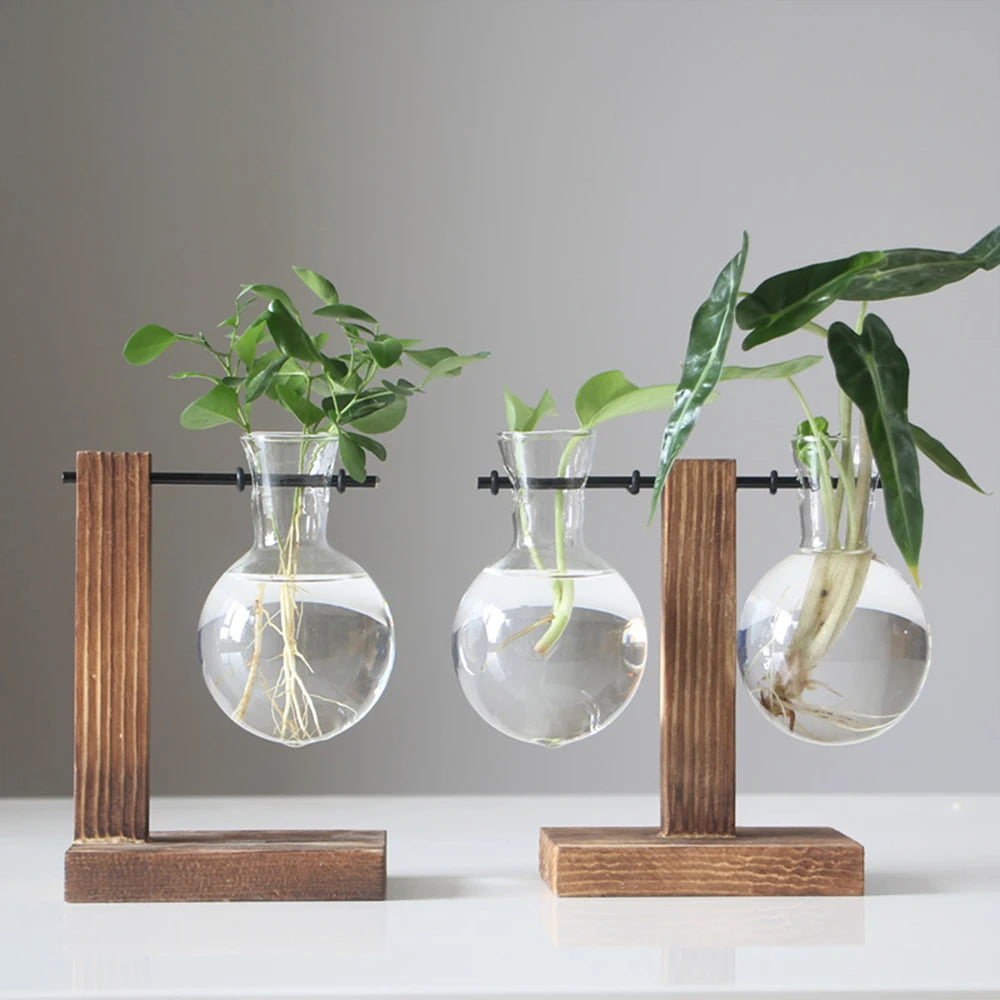 Function Terrarium Glass And Wood Desktop Planter Vase