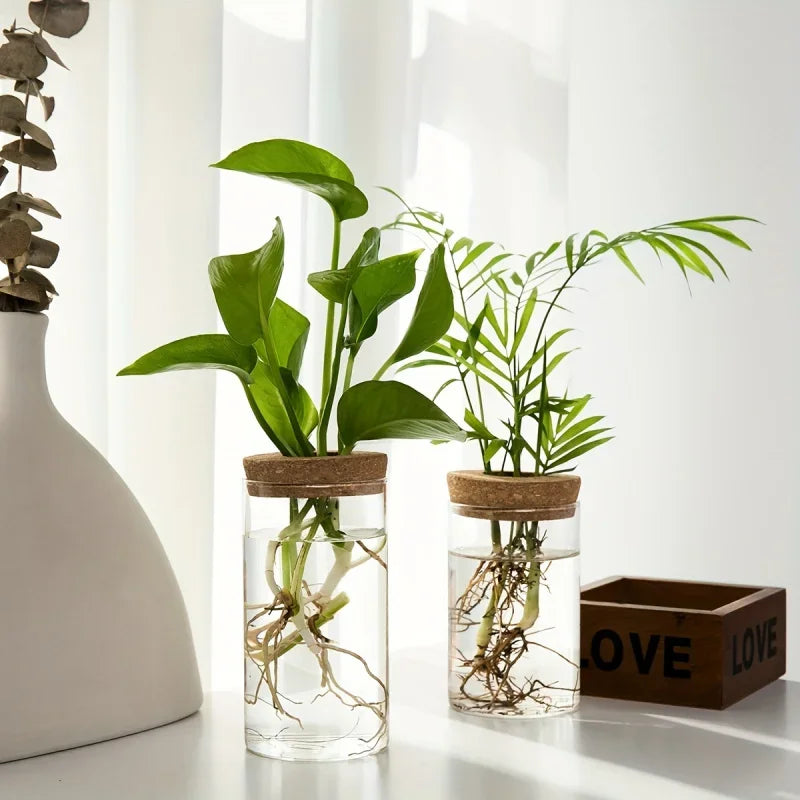 Hydroponics Desktop Glass Planter Vase For Home Decoration