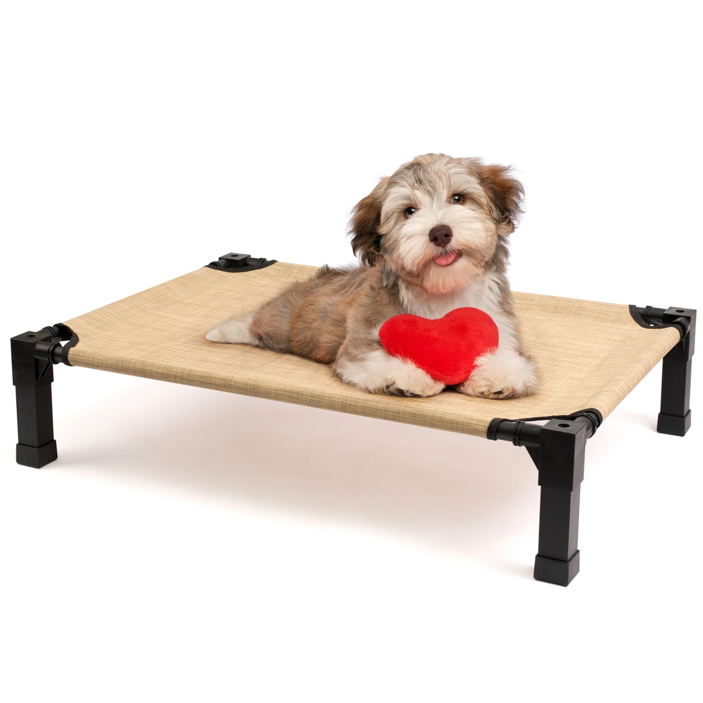 Jiangsu Elevated Dog Bed Cooling Raised Pet Cot Mesh