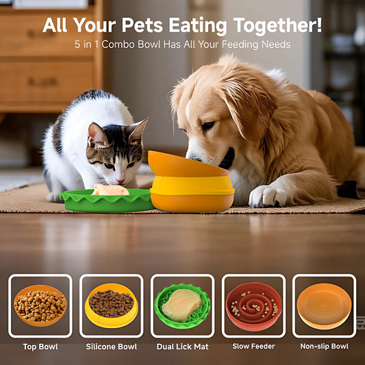 Hign-concerned 5 In 1 Burger Pet Bowls Set Tilted Elevated