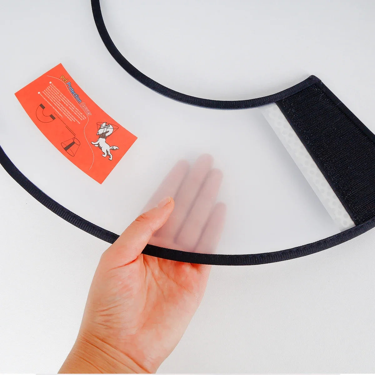 Guangdong Elizabethan Collar for Dogs Stop Licking