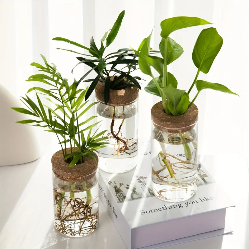 Hydroponics Desktop Glass Planter Vase For Home Decoration