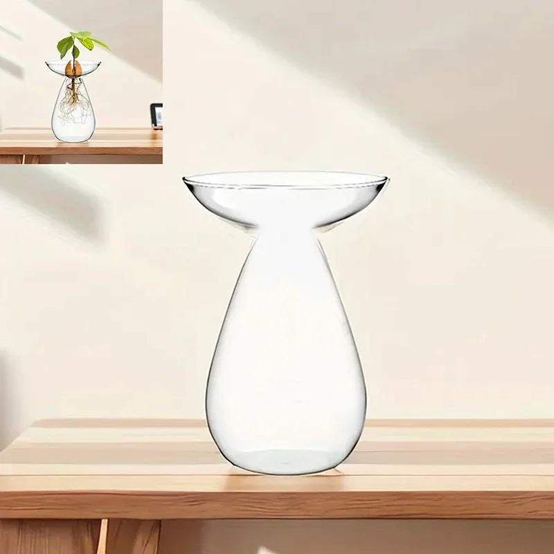 Glass Avocado Hydroponic Vase Seed Starter Kit For Plants