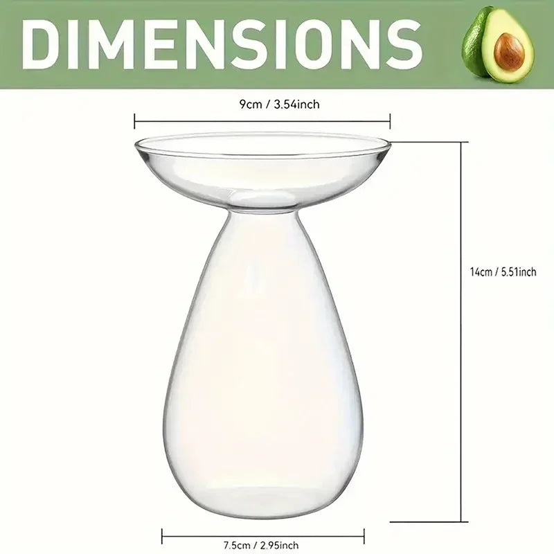 Glass Avocado Hydroponic Vase Seed Starter Kit For Plants