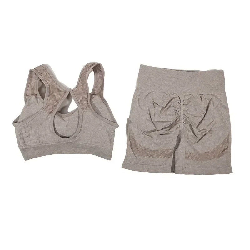 2Pcs Yoga Set For Women Fitness Shorts And Vest Workout