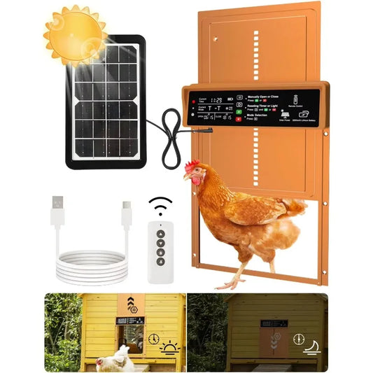 Hignconcerned Door With Timer And Light Sensor Auto Chicken