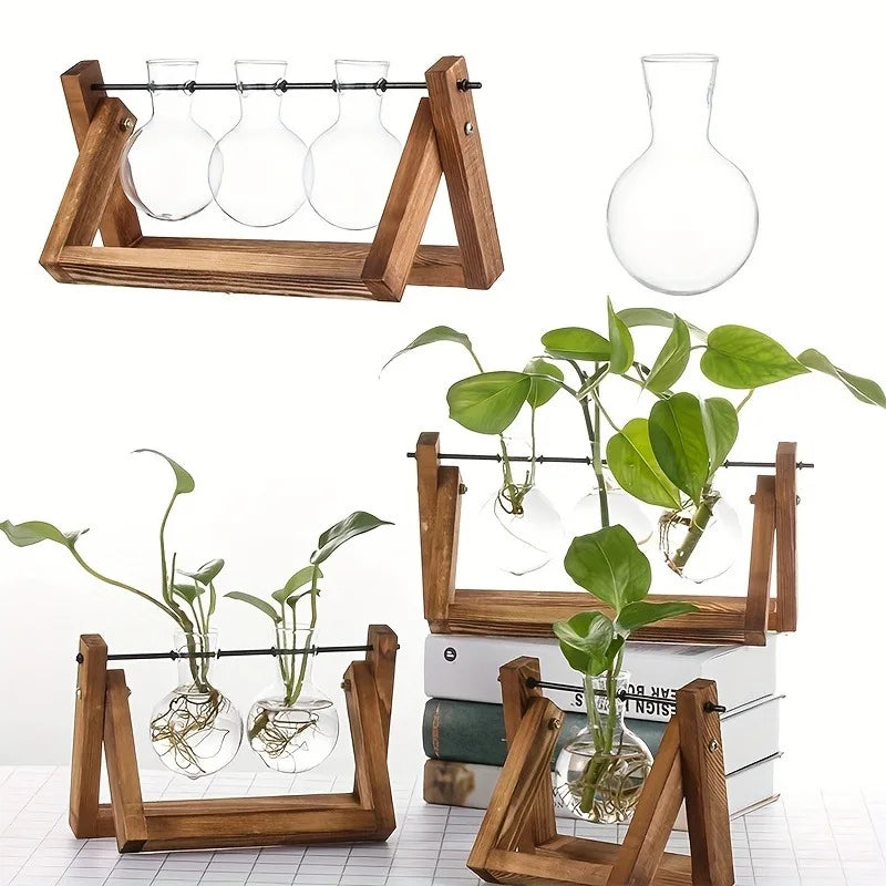 Function Tabletop Glass Propagation Station Planter Hydroponic With Wood Rack