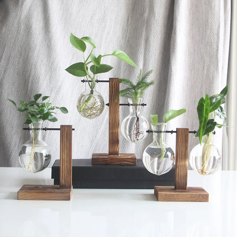Function Terrarium Glass And Wood Desktop Planter Vase