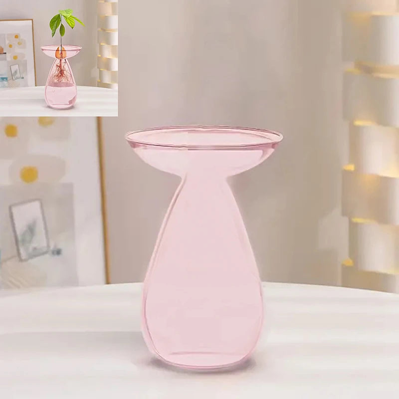 Glass Avocado Hydroponic Vase Seed Starter Kit For Plants